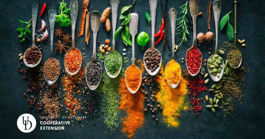 Herbs and Spices