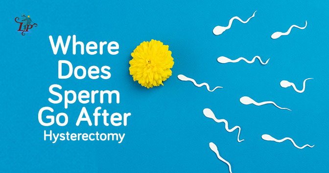 Where Does Sperm Go After Hysterectomy
